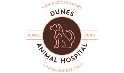 ASSET - Dunes Animal Hospital 1177 - HeaderLogo